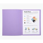 Fournitures bureautique paquet de 100 chemises EXACOMPTA SUPER 210 24X32cm Lilas infinytech Réunion 2