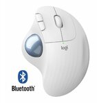 Matériels informatique souris ergonomique LOGITECH ERGO M575 Sans Fil Blanche infinytech Réunion 01