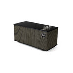 Matériels audio enceinte nomade KLIPSCH The One II Bluetooth Noire infinytech Réunion 01