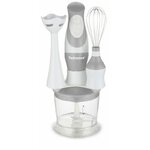 Electroménager mixeur plongeant 3 en 1 TECHWOOD TMS-8161 infinytech Réunion 1