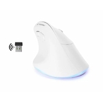 Matériels informatique souris ergo verticale BLUESTORK Ergo Lumi Sans Fil Droitier Blanche infinytech Réunion 01