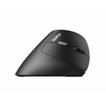 Matériels informatique souris ergonomique RAPOO EV250 Sans Fil infinytech Réunion 07