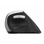 Matériels informatique souris ergonomique RAPOO EV250 Sans Fil infinytech Réunion 06