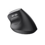 Matériels informatique souris ergonomique TRUST Bayo II Droitier Sans Fil Noire infinytech Réunion 05