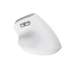 Matériels informatique souris ergonomique TRUST Bayo II Droitier Sans Fil Blanche infinytech Réunion 05