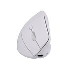 Matériels informatique souris ergonomique TNB MWERGOVLIGHT Droitier Sans Fil Blanche infinytech Réunion 03