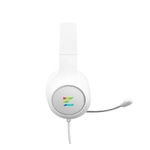 ZALMAN ZM-HPS310 RGB Blanc infinytech Réunion 04