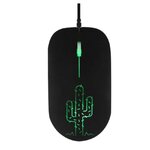 TNB Cactus Neon Noir infinytech Réunion 01
