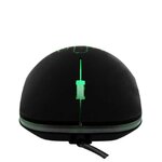 TNB Cactus Neon Noir infinytech Réunion 03
