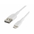 Accessoires téléphonie câble BELKIN Boost Charge Tressé USB vers Lightning 1m Blanc infinytech Réunion 2