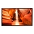 Matériels vidéo écran vitrine professionnel SAMSUNG série OMN 55 pouces LH55OMNSLGB infinytech Réunion 1