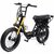 Vélo Électrique MADMAX-S – FAT E-BIKE infinytech Réunion 02