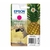 Consommables informatique cartouche d'encre EPSON 604 Ananas Magenta infinytech Réunion 01