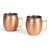 Ustensiles de cuisine Set de 2 Moscow mule LIVOO GS155 infinytech Réunion 01