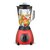 Petit électroménager blender inox TECHWOOD TBLI-385 infinytech Réunion 01