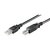 Matériels informatique câble GOOBAY USB-A Mâle vers USB-B Mâle 1.8m Noir infinytech Réunion 01