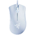 RAZER DeathAdder Essential Blanche infinytech Réunion 20
