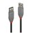 LINDY 36692 Câble USB 2.0 Type AA 1m Noir infinytech Réunion 01