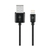 GOOBAY 63523 Câble USB 2.0 vers Lightning 1m Noir infinytech Réunion 01
