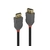 LINDY 36482 Câble DisplayPort 1.4 Mâle Mâle 2m Noir infinytech Réunion 01
