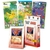 POKÉMON COLLECT 151 Salameche infinytech Réunion 01
