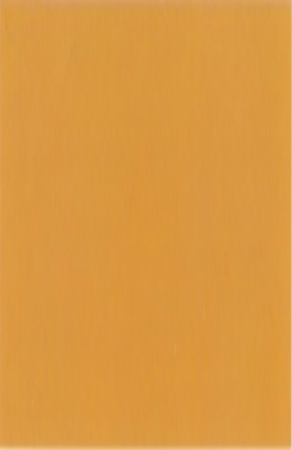 Peinture De Protection Contre Les Intempéries Consolan 2,5 L Blanc