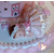 VCL2-Au-coeur-des-arts-Veilleuse château licorne à led sur socle en bois bebe fille