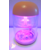 (3)