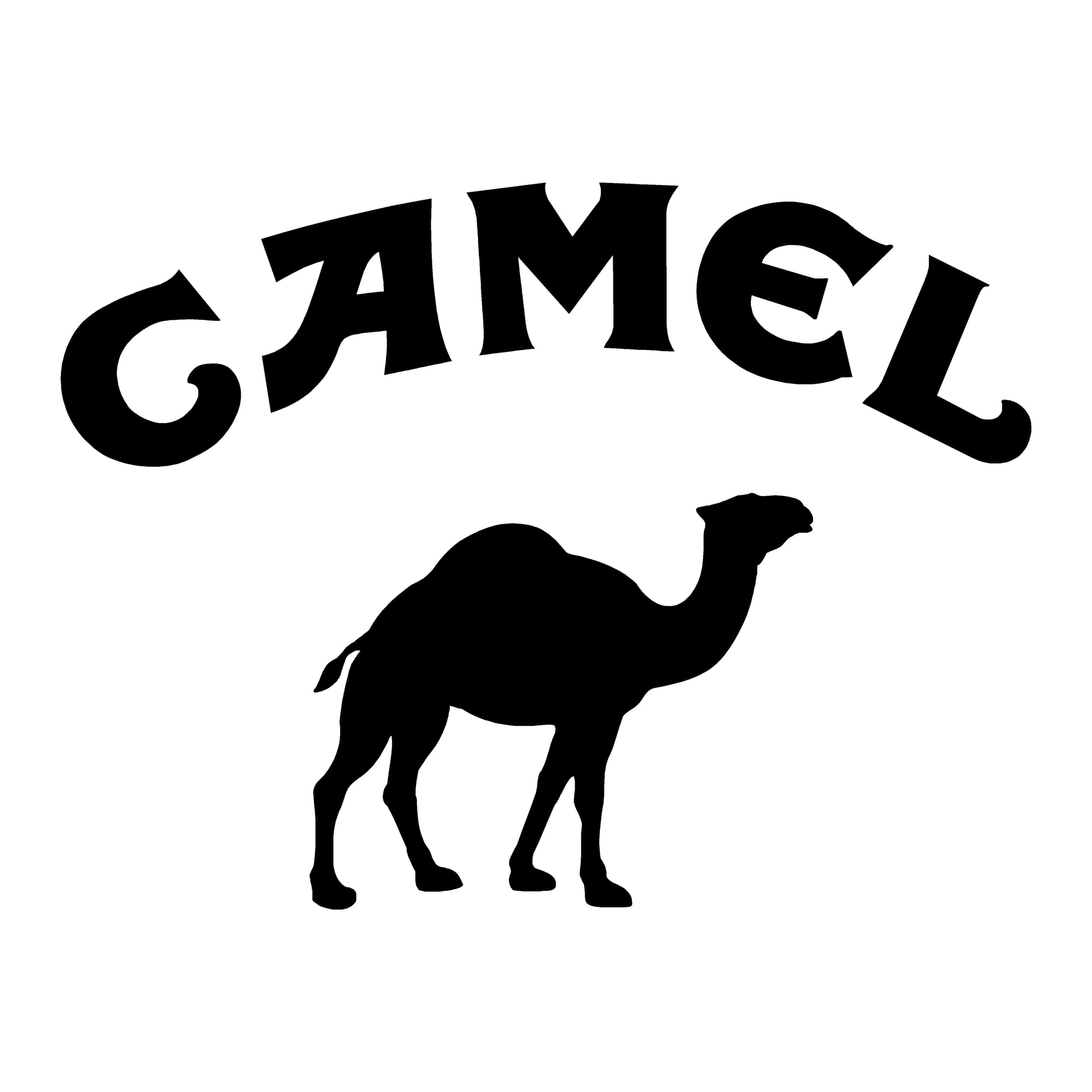stickers-camel-trophy-ref-5-dakar-land-rover-4x4-tout-terrain-rallye-competition-pneu-tuning-amortisseur-autocollant-fffsa-min