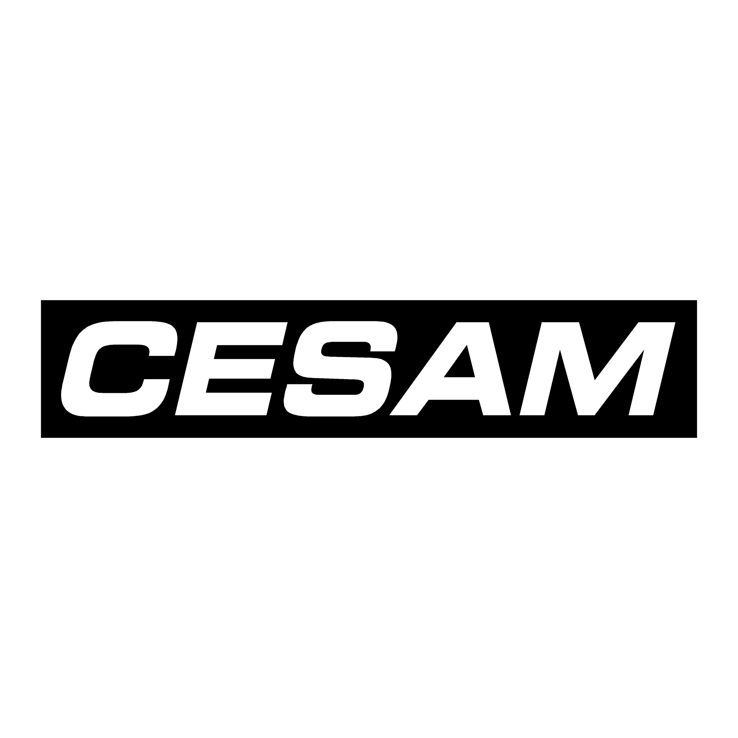 sticker cesam ref 2 tuning auto moto camion competition deco rallye autocollant