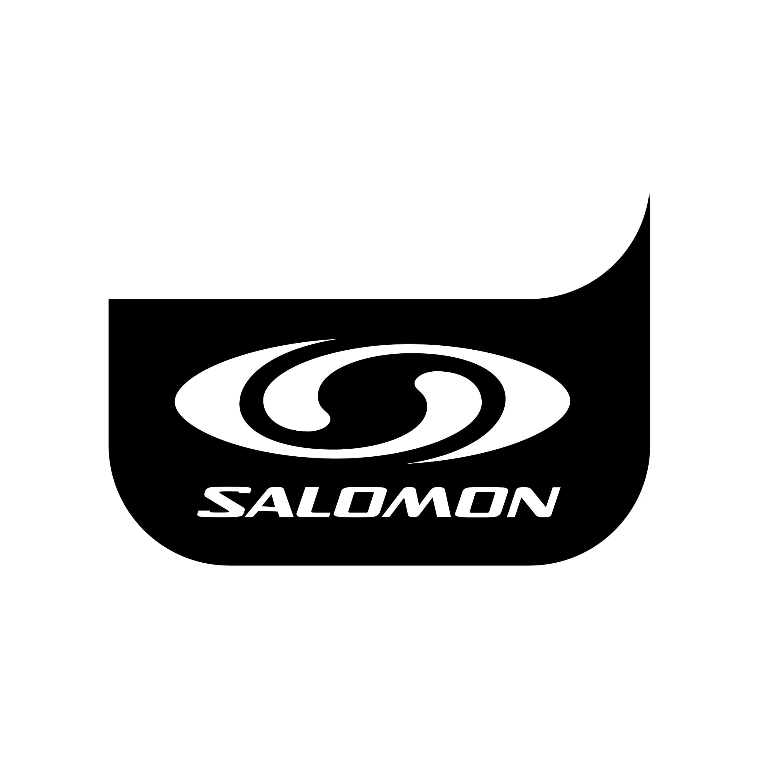 uregelmæssig lugt Utilfreds Stickers Salomon Logo - Autocollant Snowboard