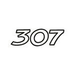 stickers-peugeot-307-ref52-autocollant-voiture-sticker-auto-autocollants-decals-sponsors-racing-tuning-sport-logo-min
