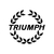 triumph-ref2-stickers-moto-casque-scooter-sticker-autocollant-adhesifs