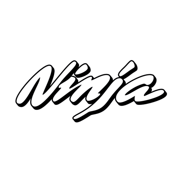 Stickers Kawasaki Ninja ombre Autocollant moto