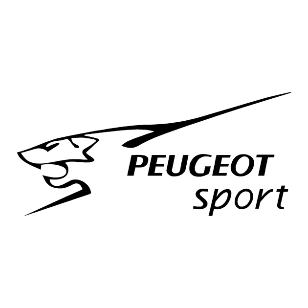 2 Stickers Autocollant Peugeot RETROVISEUR vitre carrosserie decal