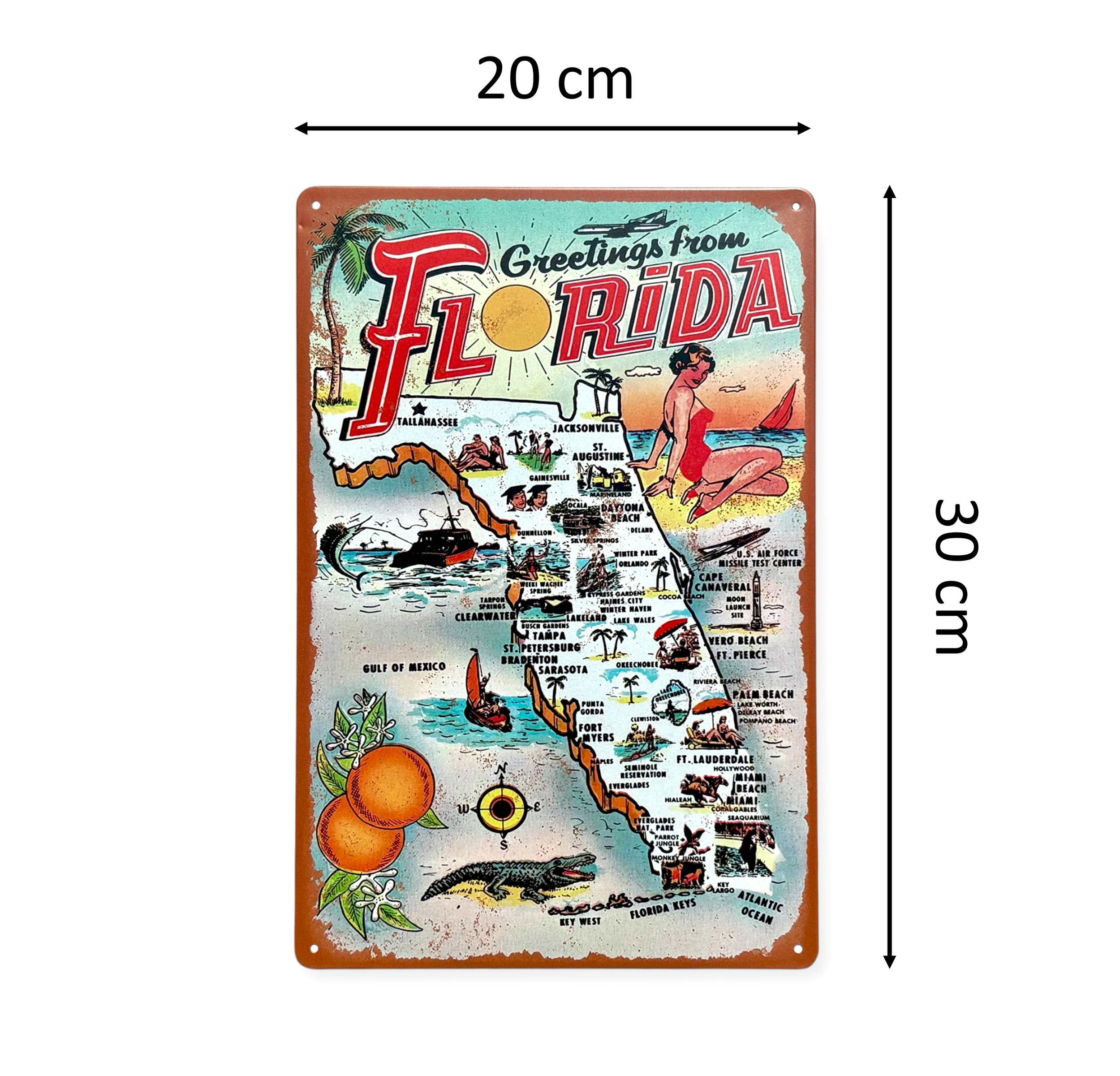 FEEPLA1192(AMZ2)