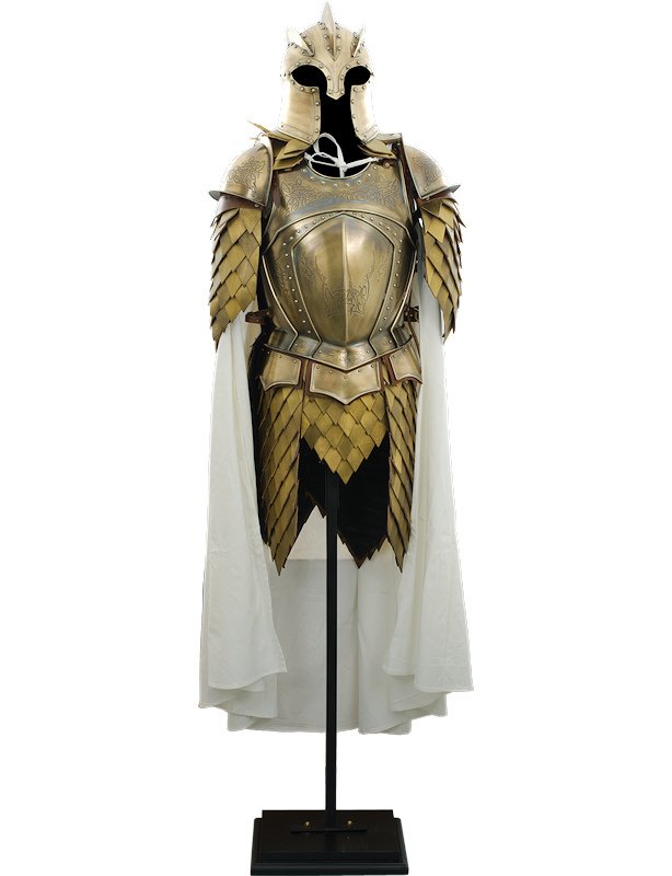 Armure - Game of Thrones (1)