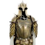 Armure - Game of Thrones (2)