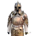 Armure - Game of Thrones (5)