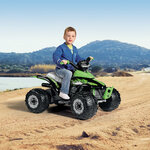 OR0100_Corral_T-Rex_330W_Backgound