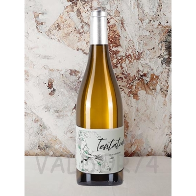 ARDECHE BLANC 2022 CUVEE MYSTERE NON FILTREE OLIVIER DE SERRES  75cl 13° à 6€