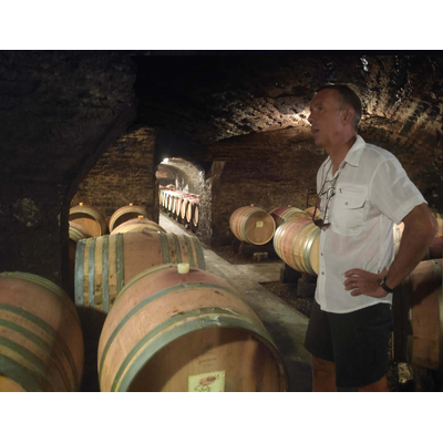 SANTENAY BLANC 2023 DOMAINE CHAPELLE 75cl 13° CERTIFIE BIO  AB à 22€