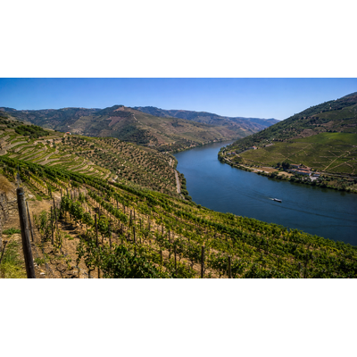 RIBEIRA DEL DOURO Valdor74