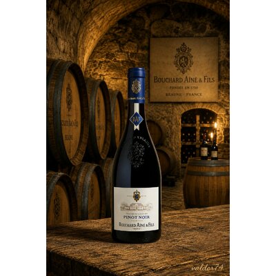 HÉRITAGE DU CONSEILLER PINOT NOIR 2025  MAISON BOUCHARD AINE 75cl 12,5° à 9€  VIN DE FRANCE