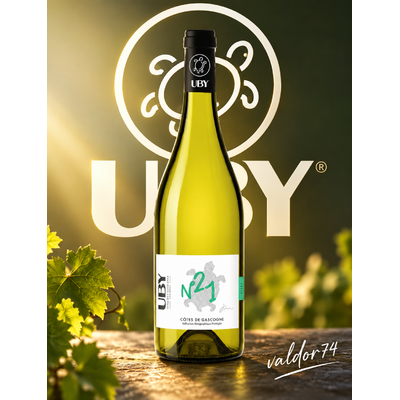 DOMAINE UBY N°21  BLANC BIO 2025 75cl 11° à 7€