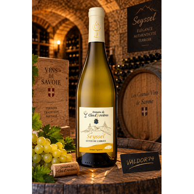 ROUSSETTE de SEYSSEL 2023 CLOS D'ARVIERES CUVEE DE L'ABBAYE DOMAINE MOLLEX 75cl 12,5° à 12€