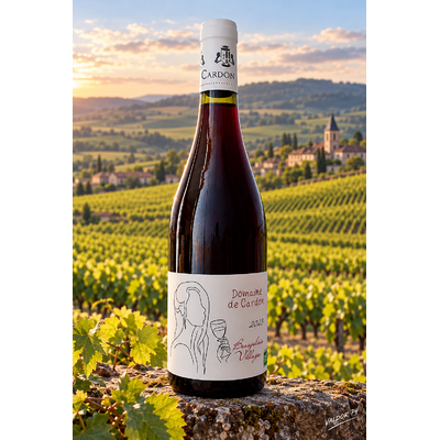 DOMAINE DE CARDON BEAUJOLAIS VILLAGES 2025 TERRA VITIS 75cl 12° à 6€