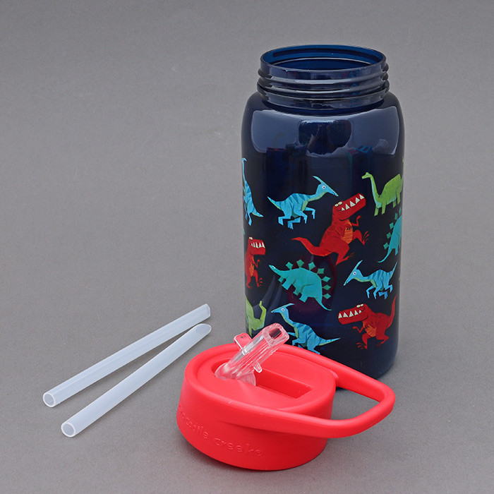 450ml Bouteille d'eau de dinosaure avec paille pour enfants filles  Réutilisable Drinkware Double Wall Tumbler avec paillettes Café Smoothie  Tasse