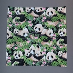 SC_panda