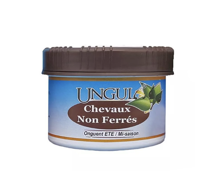 chevaux-non-ferré-été-mi-saison